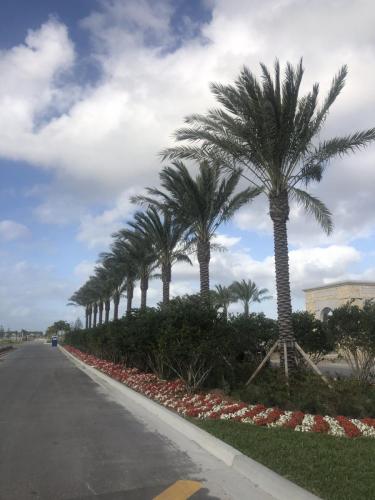 avenir community is coming to palm beach gardens