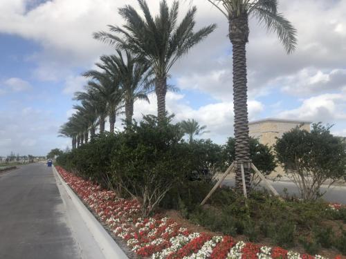 avenir-homes-palm-beach-gardens