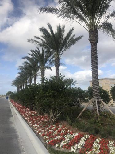 avenir realty palm beach gardens